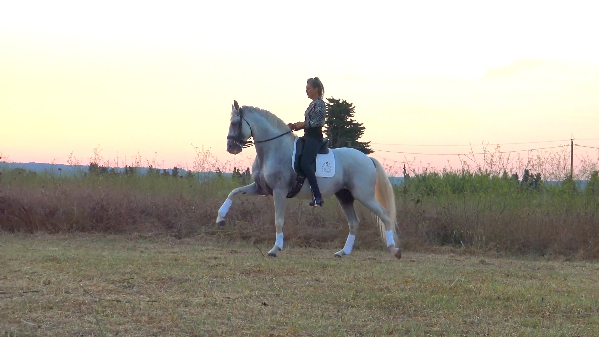 Jenny - Alors on danse - Stromae 